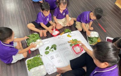 bf8110373f2cb572ec3d41